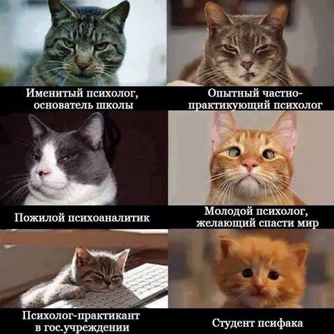 Новость