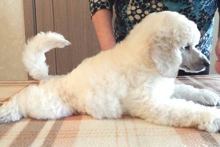 Челябинский Многопрофильный Институт