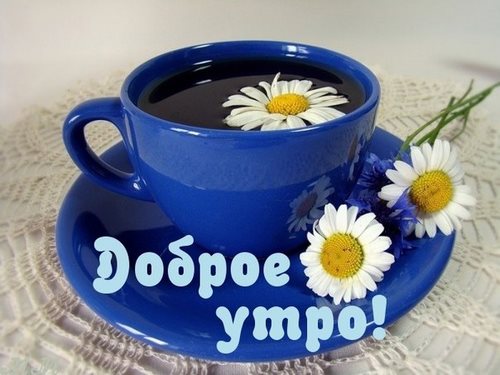 Изображение Клуб отличников
