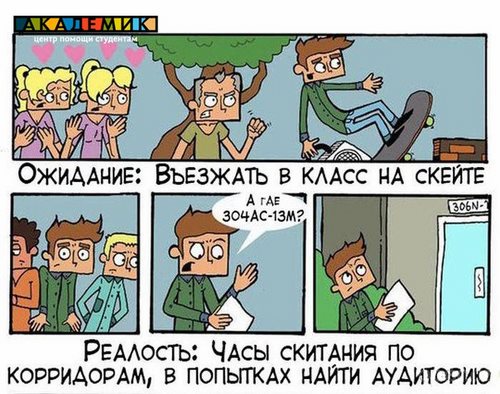 Новость Академик