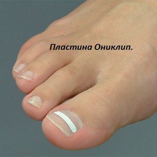 Картинка Болива, ООО, торгово-учебный центр