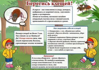 Дочки-Сыночки Челябинск
