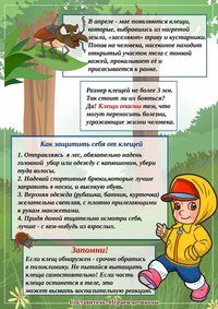 Новость Дочки-Сыночки детский