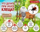Дочки-Сыночки
