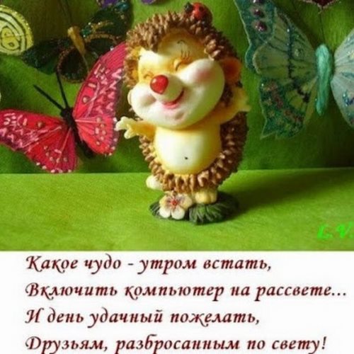 Для Элит Класс