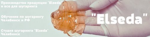 Логотип компании ElSeda, школа-студия