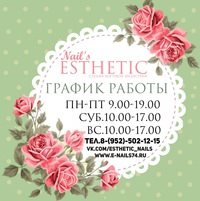 Логотип компании Esthetic-Nails, интернет-магазин материалов для ногтевого сервиса