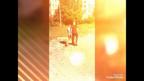 Для Excellent Челябинск