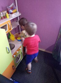 Гномики частный