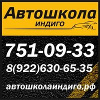 Логотип компании Индиго, автошкола