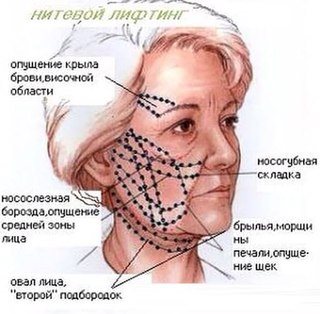 Новость Кристи школа салонного