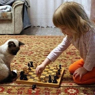 Изображение Мамина радость Челябинск