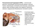 Массажисты Урала