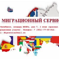 Логотип компании Миграционный сервис