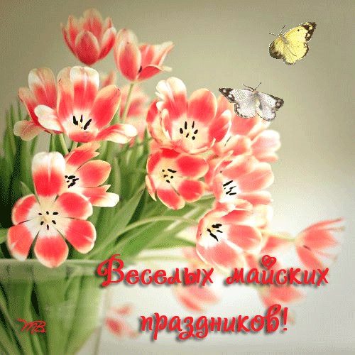 Для Наши цветочки частный