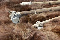 Картинка Открытие центр увлеченного
