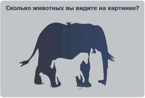 Изображение Пишичитай центр развития