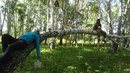 Изображение Радуга жизни