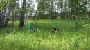 Для Радуга жизни, центр развития и адаптации
