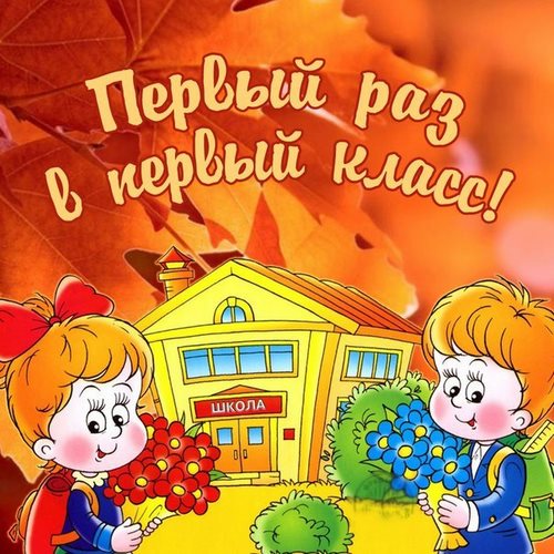Развивайка, детский центр