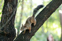 Фото Санкт-Петербургская Школа Телевидения, филиал г. Челябинске