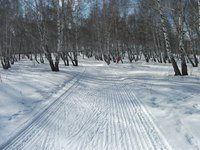 Новость Ски-ма производственно-конструкторское