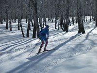 Изображение Ски-ма, производственно-конструкторское бюро