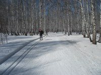 Картинка Ски-ма производственно-конструкторское