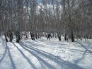Для Ски-ма производственно-конструкторское бюро