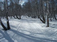 Новость Ски-ма производственно-конструкторское