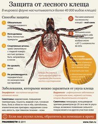 Для Совушка, центр детского развития