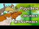 Новость Созвездие, центр дошкольного развития