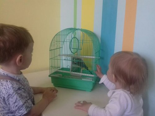 Новость Страна чудес