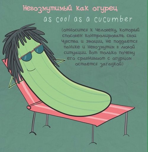 Study English