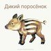 Изображение Свобода выбора центр