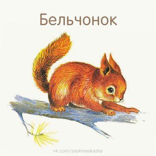 Картинка Свобода выбора, центр коррекции и развития