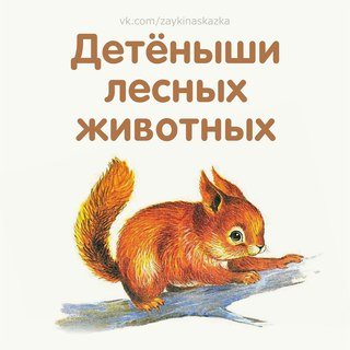 Фото Свобода выбора Челябинск