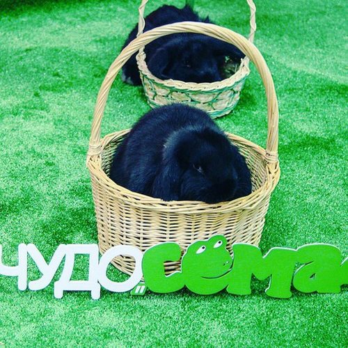 Изображение Сёма Челябинск