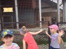 Новость Сёма Челябинск
