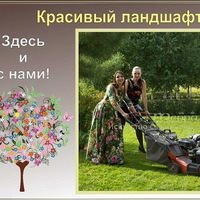 Логотип компании Терра, центр ландшафтного дизайна