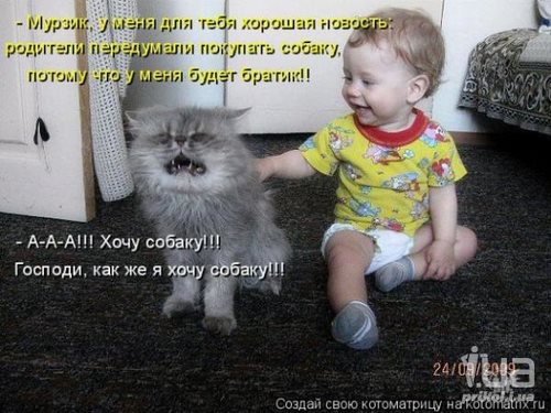 Для Тимоша Челябинск