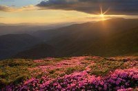 Твоя планета агентство