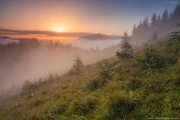 Новость Твоя планета