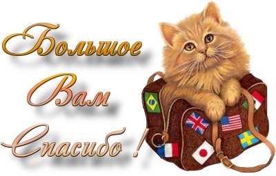 Для Ученый кот Челябинск