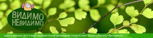 Логотип компании Видимоневидимо, студия детской мультипликации