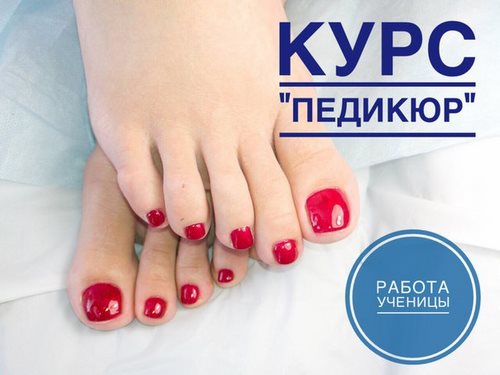 Новость Виктори учебный