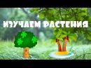 Новость Воробышки домашние ясли