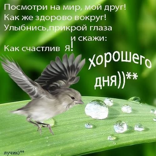 Изображение Возрождение творческий центр