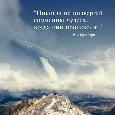 Картинка Возрождение школа