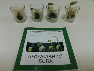  Выше Радуги, Монтессори-клуб